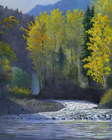 Narcosli Creek entering the Fraser River