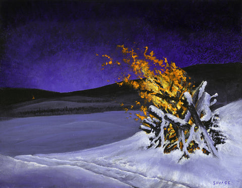 Burn piles, winter