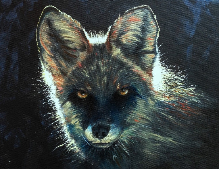 Red fox - study – James Savage Arts